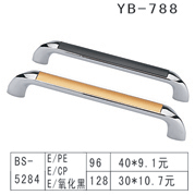 YB-1 (17)