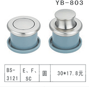 YB-1 (32)