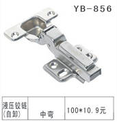 YB-1 (5)