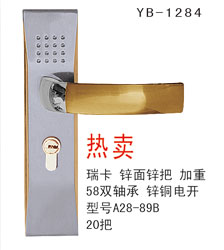 YB-1 (8)