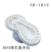 YB-1 (24)