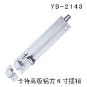 YB-1 (23)