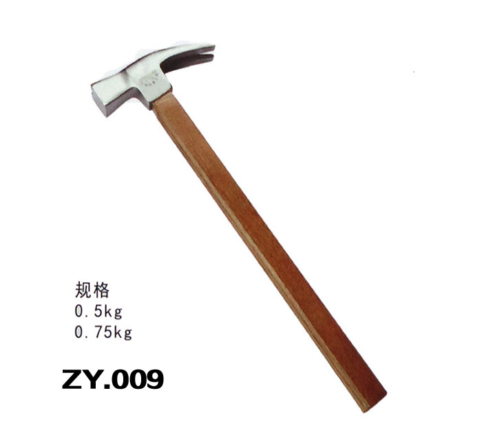 ZY.009