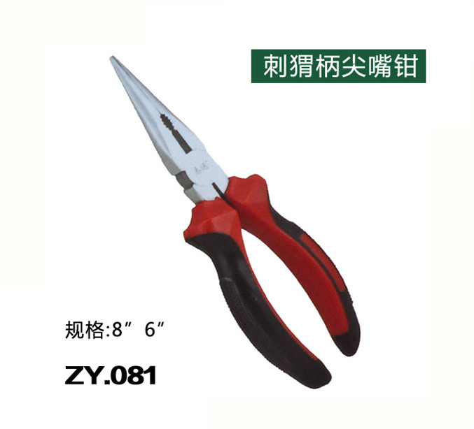 ZY.081