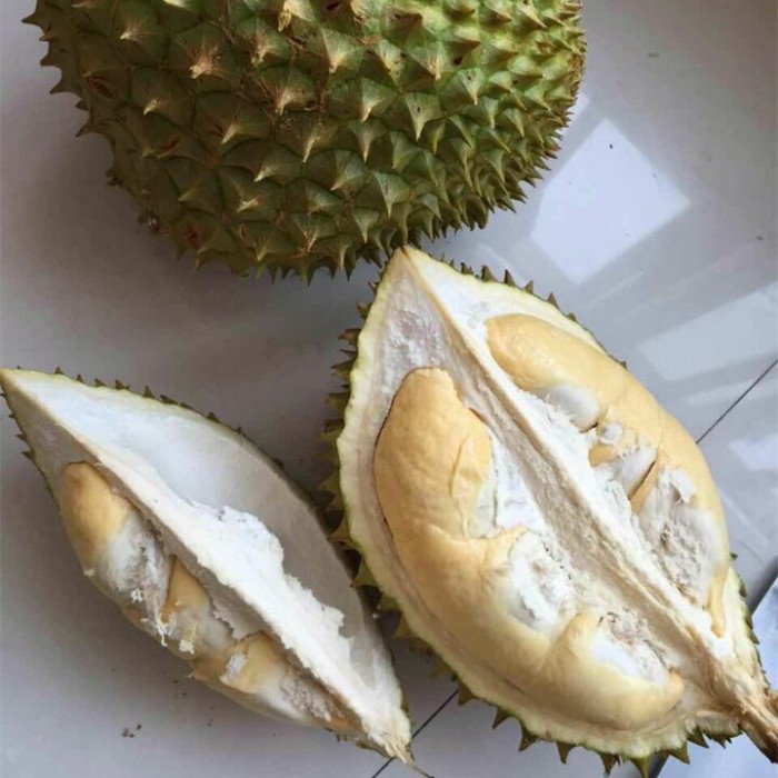 蛋糕5_副本