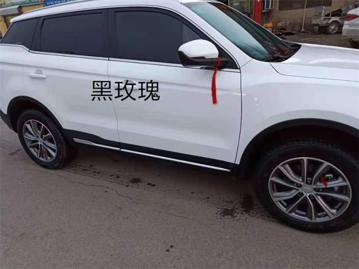 18黑玫瑰